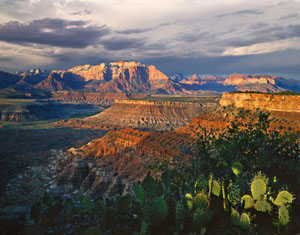 View from Gooseberry Mesa